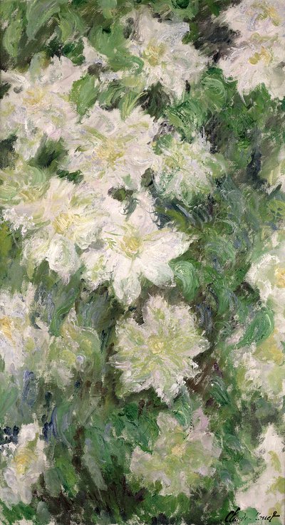 Clematide Bianca, 1887 da Claude Monet